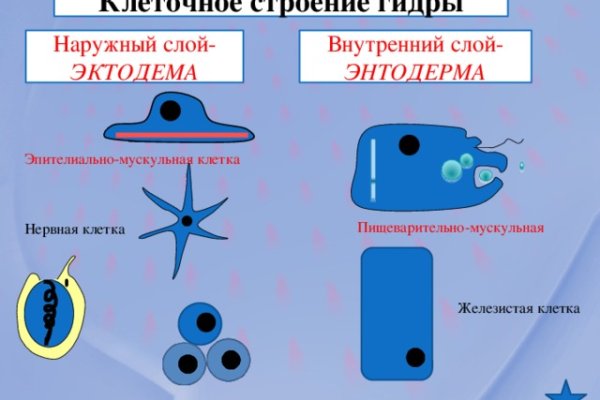 Кракен наркологический
