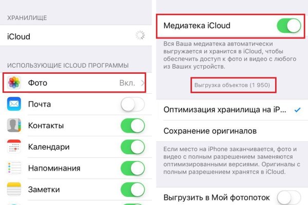 Кракен через тор браузер