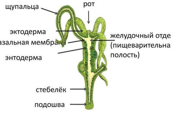 Mega market ссылка