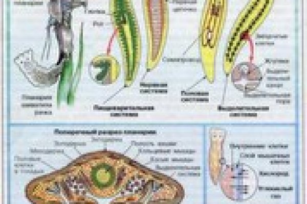 Мега кракен блэк спрут