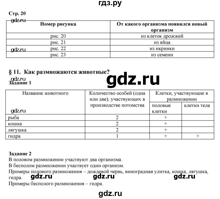 Вместо гидры